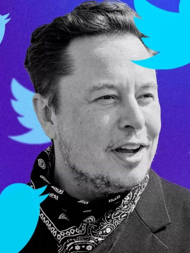 Elon Musk Quer Cobrar R Por M S De Usu Rios No Twitter