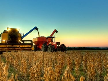 Argentina se torna 2º maior importador de soja do Brasil