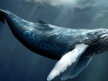 Baleia do bitcoin move US$ 31 milhões em BTC após 11 anos