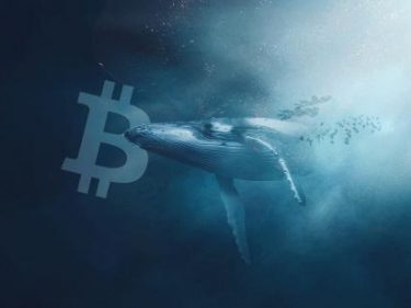 Bitcoin retorna aos US$ 44 mil com acumulação de baleias e perdas pós ETFs são minimizadas