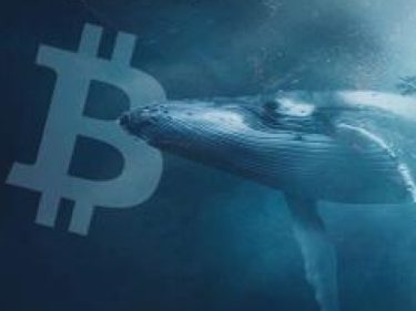 Alguém vendeu 16 mil Bitcoins por US$480 milhões em 15 minutos