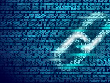 5 indicadores que explicam para onde vai o preço do Bitcoin