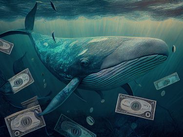 Alguém lembrou de US$173 milhões guardados em Bitcoin há 9 anos