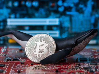 IA: inteligência artificial é trazida para o Bitcoin pela Lightning Labs