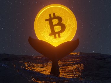 Baleias aproveitam correção e acumulam US$3 bilhões em Bitcoin