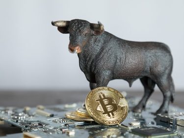 Investidores ignoram alta no preço do Bitcoin e chegam a nível recorde de acumulação