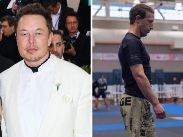 Rinha de bilionários: Zuckerberg quer desafiar Musk para uma luta