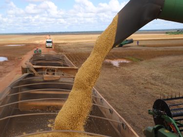 Crise de fertilizantes 2026: guerra na Ucrânia ainda abala o agro