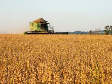 Crédito no Agronegócio passa por tokenização em projeto liderado por Nagro e Liqi