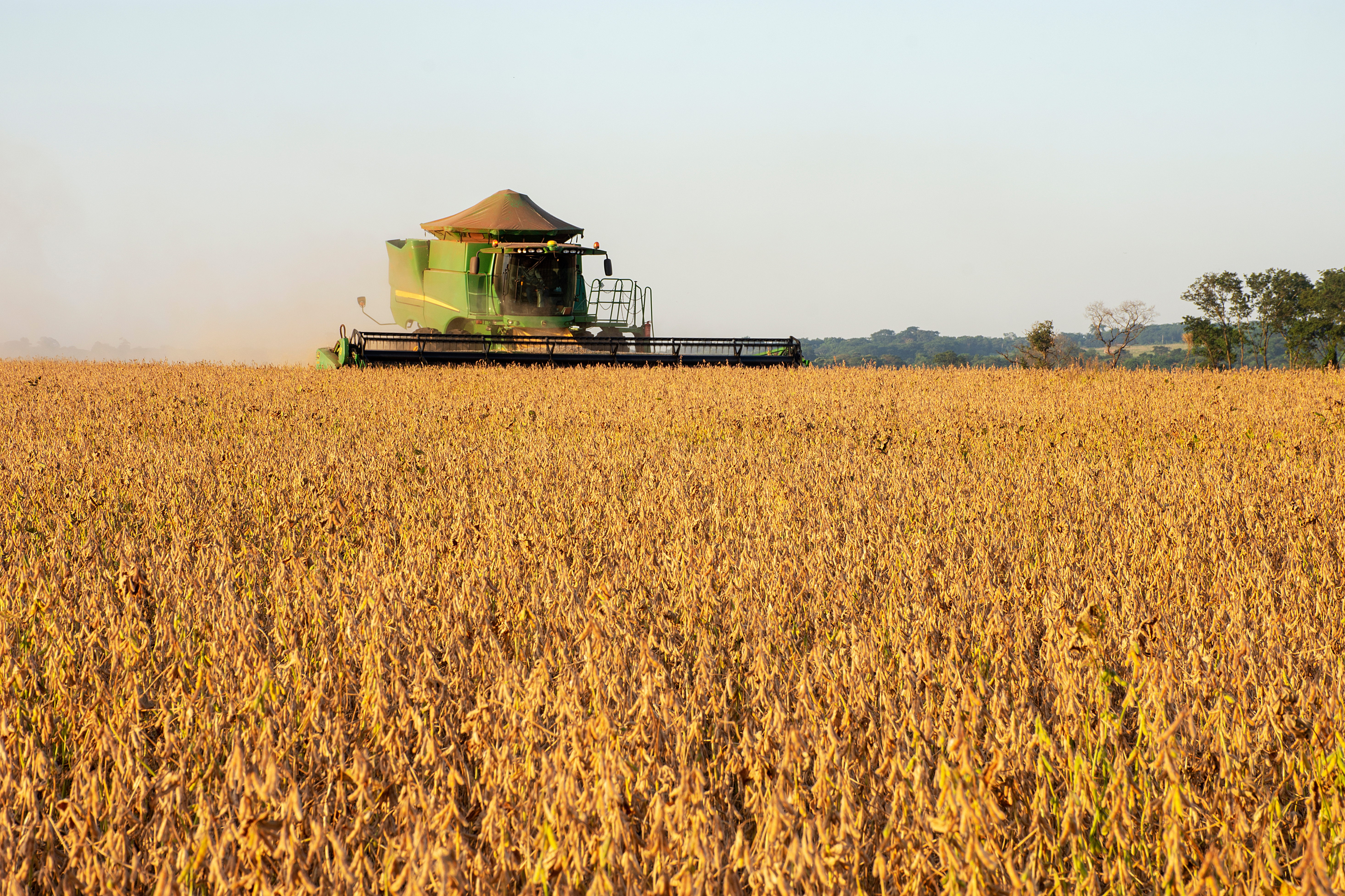 Harvesting soybeans on a farm in Brazil