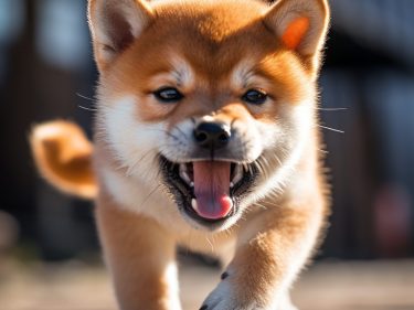 Shiba Inu Shibarium enfrenta problemas técnicos apenas algumas horas após lançamento