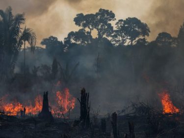 Governo do Amazonas requenta polêmica sobre Amazon para desviar o foco de queimadas na Amazônia