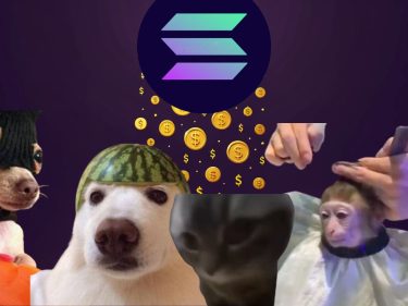 Além da especulação; confira as memecoins mais engraçadas da Solana