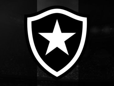 Botafogo deve R$ 400 milhões e pede 15 anos para quitar; entre credores estão Vivo, Vale, TAM e Odebrecht