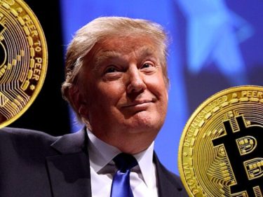Memecoins do Donald Trump derretem após a vitória do Republicano
