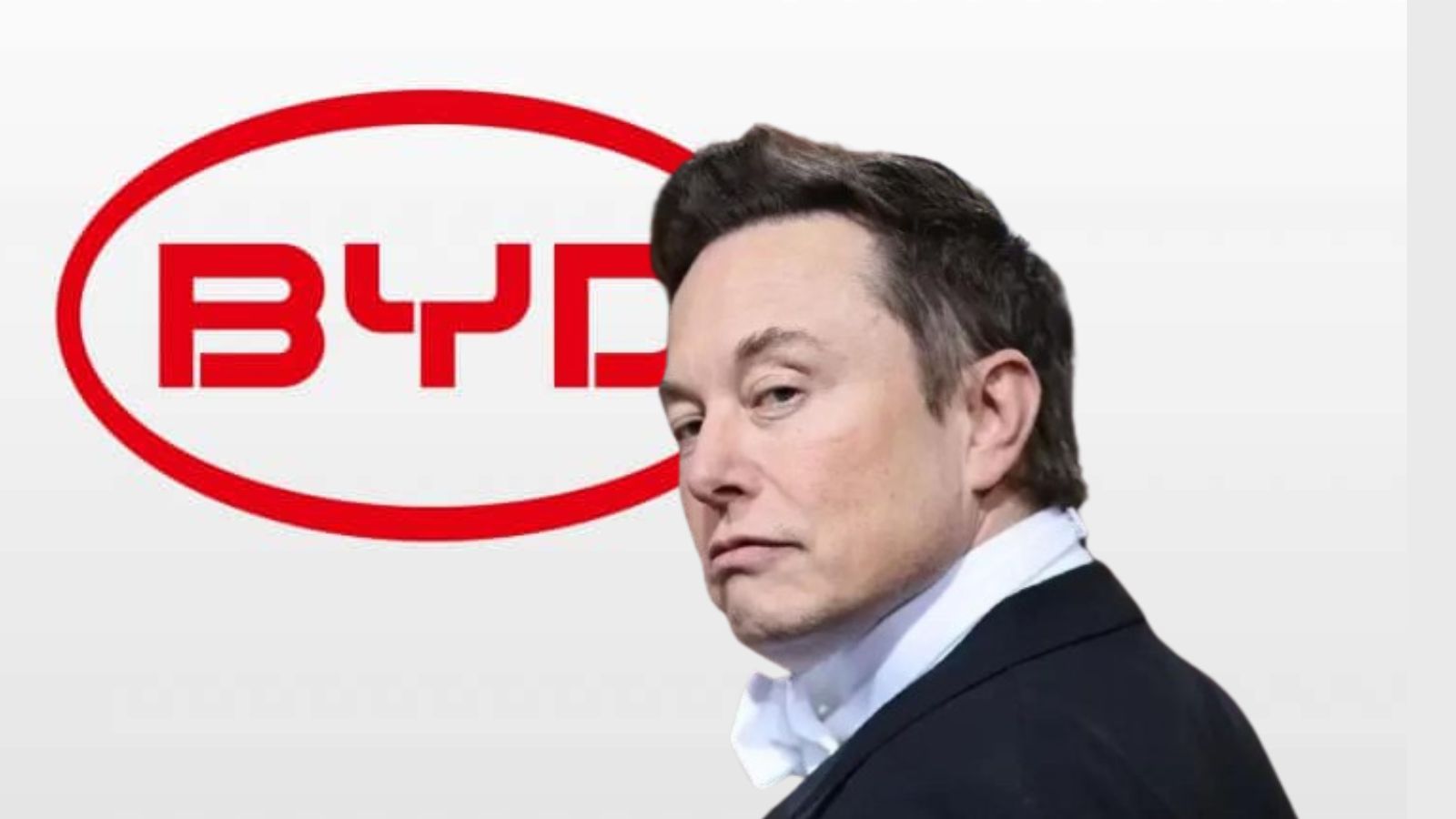 Elon Musk Tesla BYD