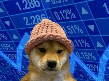 Twitteiro que faz piada sobre ser milionário em moeda de cachorro, vira milionário em dólar