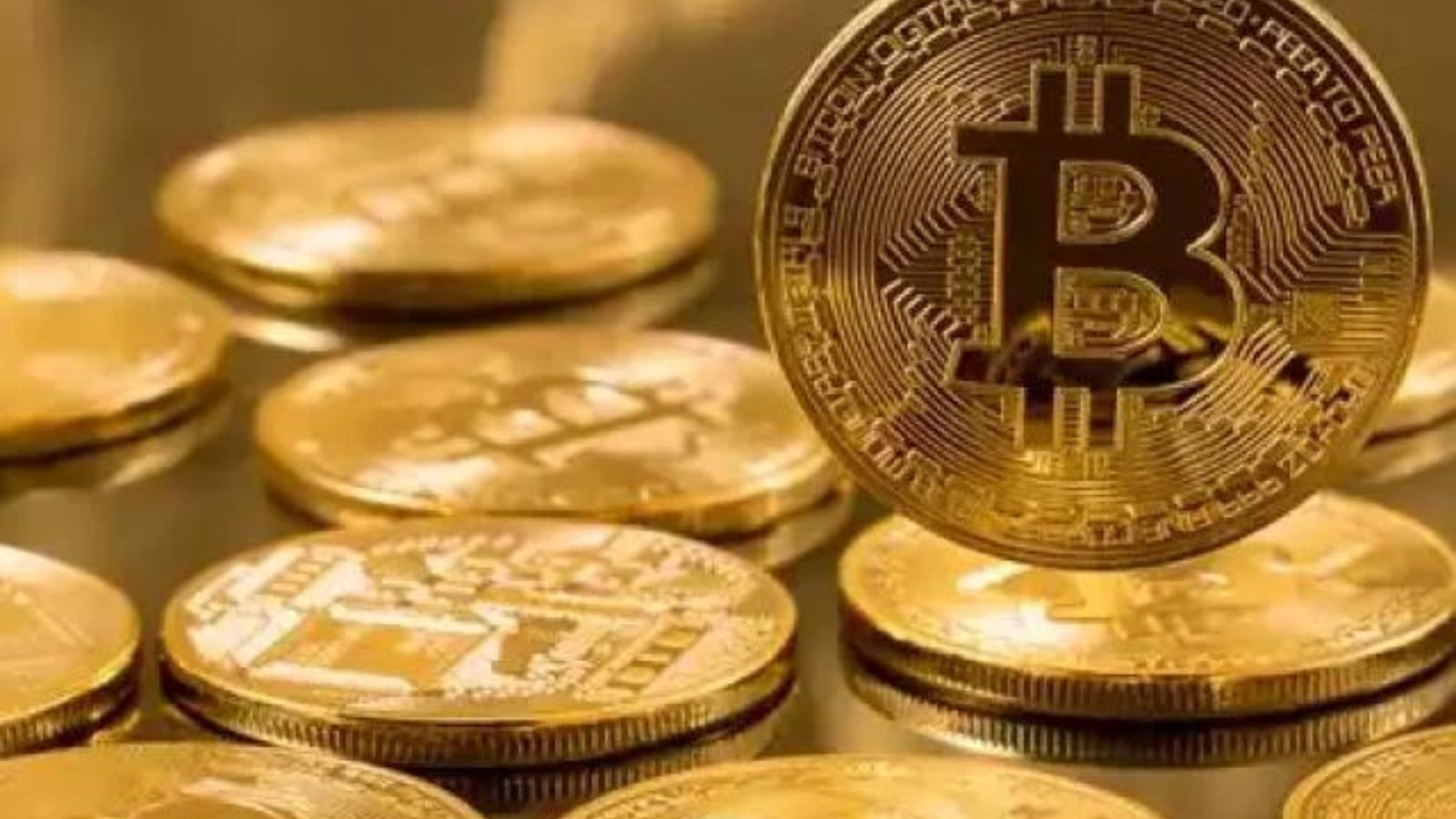 Bitcoin CEO halving bybit milhão reais
