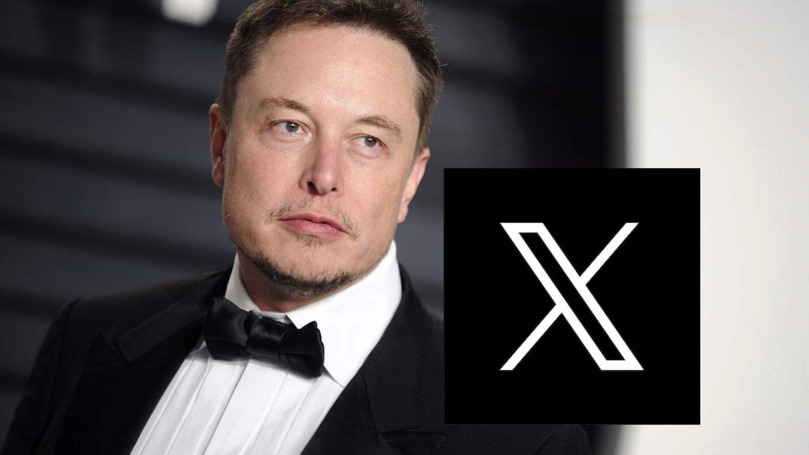 Elon Musk X EUA