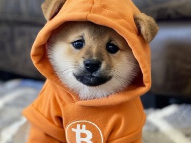DOG, memecoin no Bitcoin, atinge nova máxima histórica