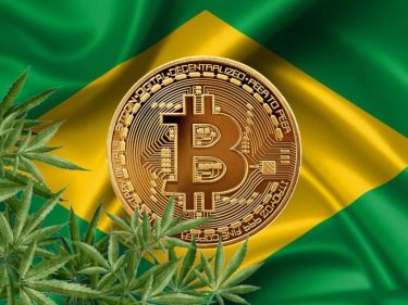 Criptomoedas e maconha figuram entre melhores fundos para investir no Brasil