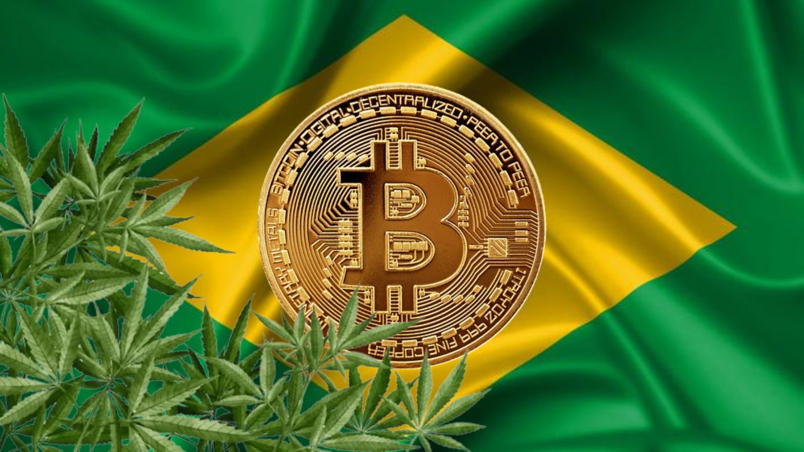 criptomoedas maconha Brasil fundos de investimento