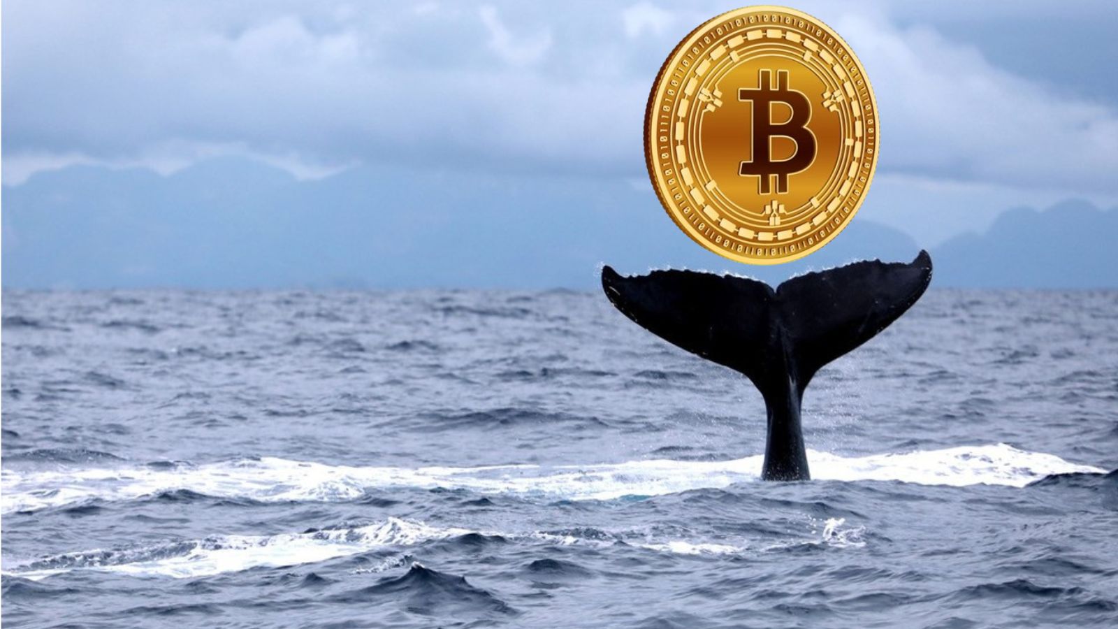 Baleia Bitcoin