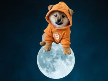 DOG é listada na Bybit e atinge máxima histórica pelo segundo dia consecutivo