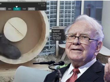 Há 3 anos um Hamster trader de cripto superou Warren Buffett, Bitcoin e S&P500