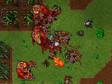 Tibia, lançado há 27 anos, anunciou hoje mudança de moeda do jogo para criptomoedas