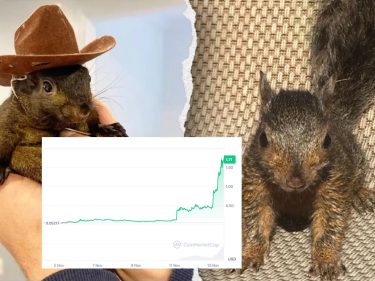 O que é Pnut, a criptomoeda meme que atingiu US$ 1,8 bilhão de valor em duas semanas