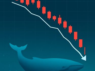 Baleia realiza perda de 35% ao mover 3 milhões de TRUMP para a Binance