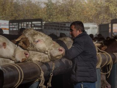 Trump zera tarifa de carne importada: o que muda nos preços